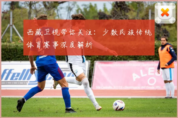 西藏卫视带你关注：少数民族传统体育赛事深度解析