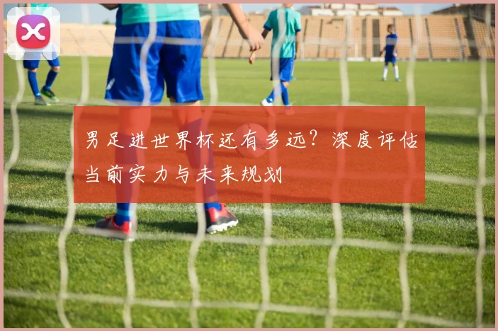 男足进世界杯还有多远？深度评估当前实力与未来规划